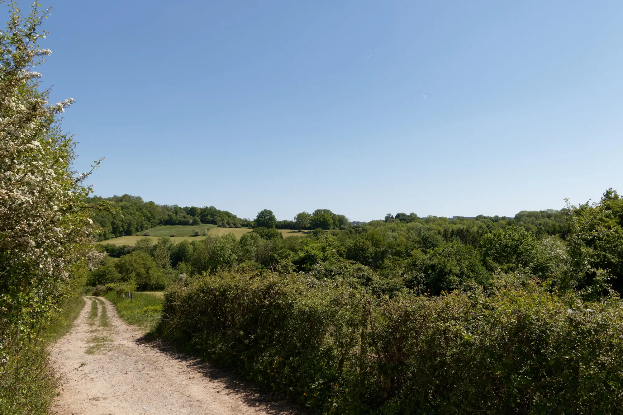 Cottage for 5 people in Theux Le Chalet du Ménobu
